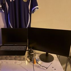 24” Gaming Monitor 