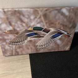 Duck Painting 
