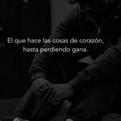 2023-2026 HONDA ACCORD CURTAIN AIRBAG