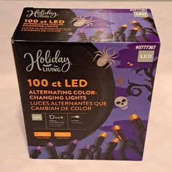 Halloween Decor LED Lights Indoor Outdoor Holiday Living NEW!