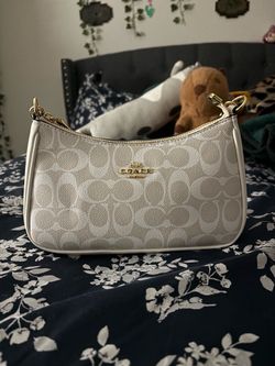 Glacier Teri Shoulder Coach Bag!