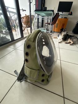 Travel pet back pack