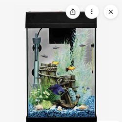 Top Fin Fascinate Column Starter Kit