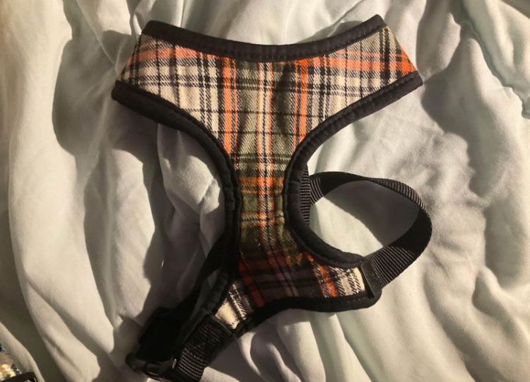 Dog Harness Size Medium Pick Up Only 