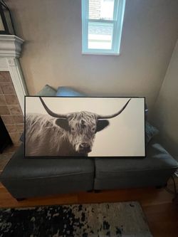 Highland cow painting