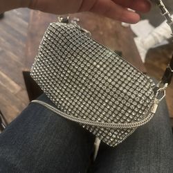 Alexander Wang Diamond Purse 