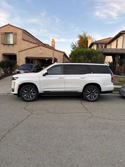 2023 Cadillac Escalade