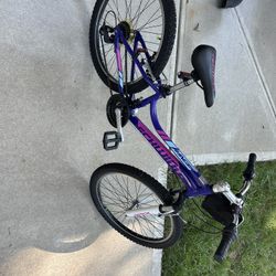Two Identical Girls Shwinn Bikes