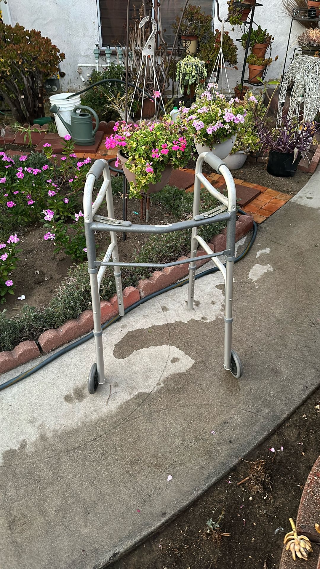 Walker, Height Adjustable