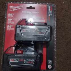 Milwaukee Two Pack Battery 