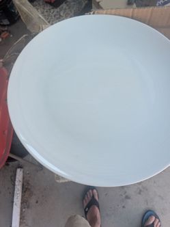 12 dinner plates white