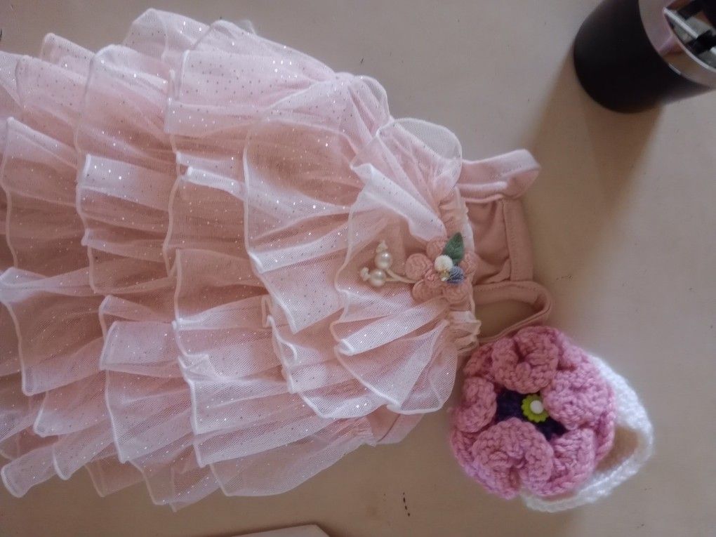 Dog Pet Roaring 20s Flapper Dress And Headband Costume Dress
