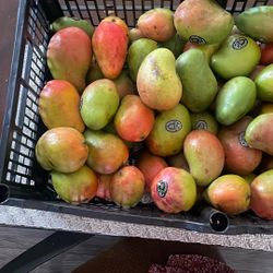 Mango Criollo