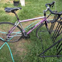 Fuji Bicycle