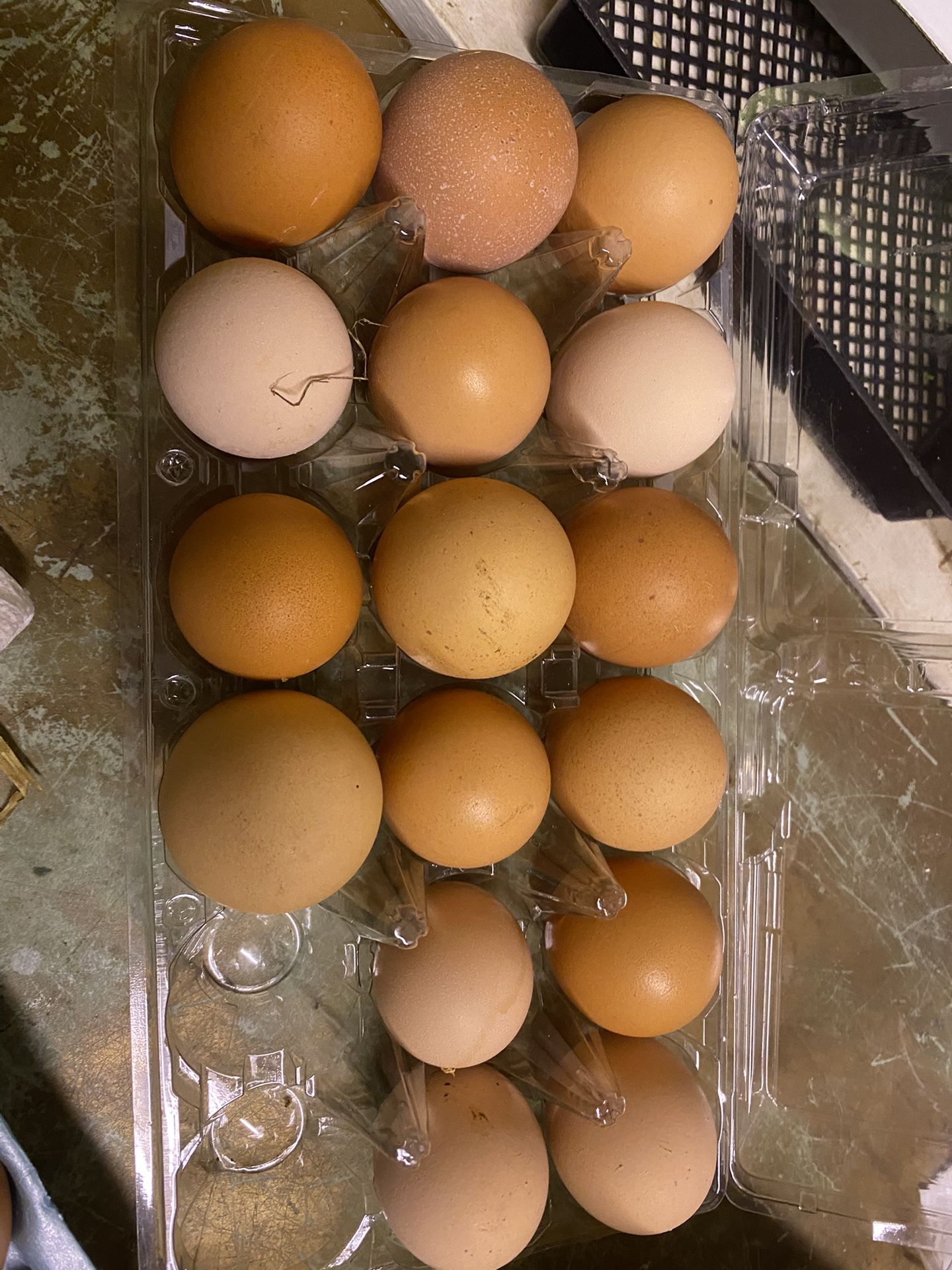 Fresh Eggs From Backyard Flocks Free Range 
