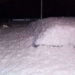 Attic Insulation 