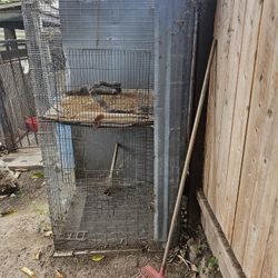 Bird Cage 