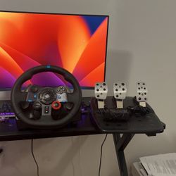 PS4 Logitech wheel and peddle 