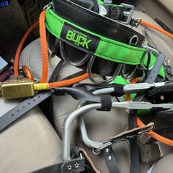 Buckingham Buck 1896 Tree Climbing Gear With Spikes