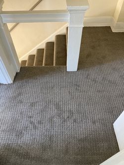Residential Carpet