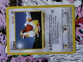 Shadowless Pidgey (57/102) pokemon