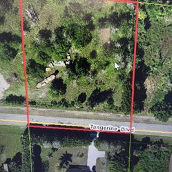 Vacant Lot Tangerine Blvd 1.25 Acres 