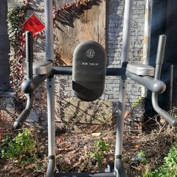 Golds Gym Power Tower