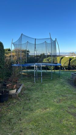 Free Trampoline