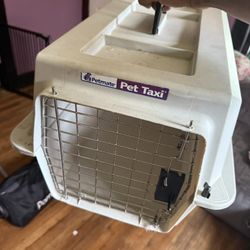 Cat Cage 