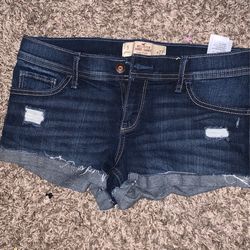 hollister Shorts
