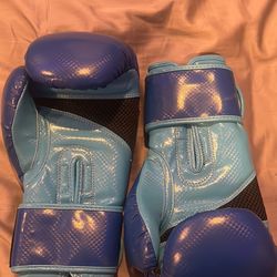 Boxing/Sparing Gloves