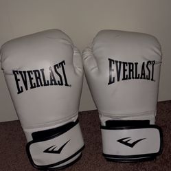 Everlast Boxing Gloves 