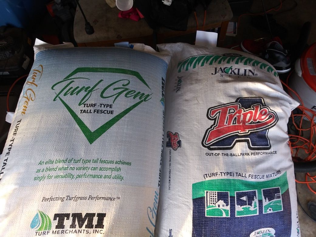 πΏπΏπΏπΏTURF GEM TALL FESCUE GRASS SEEDπΏπΏπΏπΏ