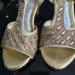 Shimmering Glass Slippers 