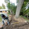 Sod $2 Per Sq/ Ft 