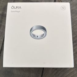 Oura Ring 4 Brushed Silver 12