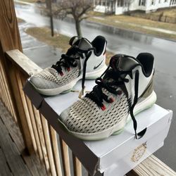 LeBron  5 Pure Platinum Size 9.5