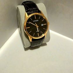 Citizen Watch 39mm $80 Obo