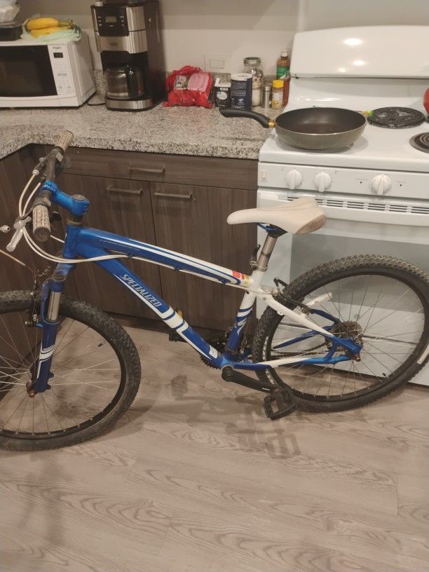 Specialized Mountain Bike