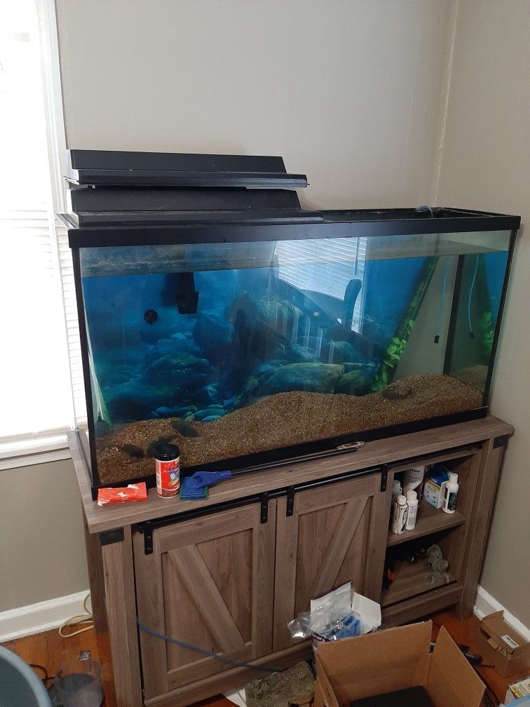 55 Gallon Tank And Stand And Extras
