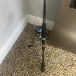 dilly custom rod with nasci 3,000 