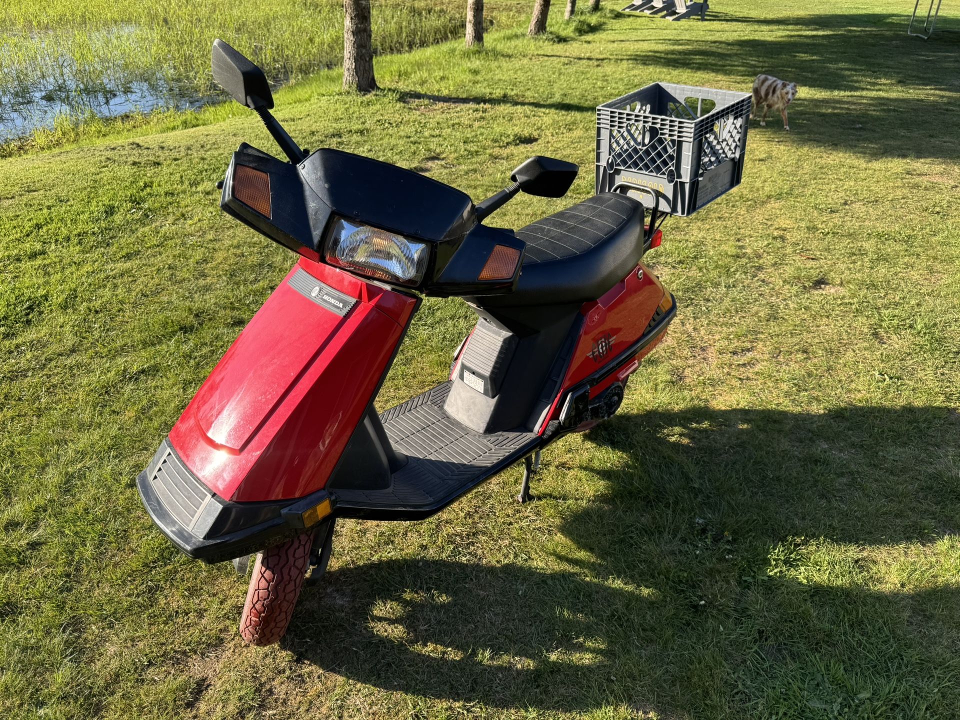 2002 Honda Elite 80