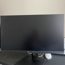 Computer Monitor