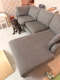Sectional couch