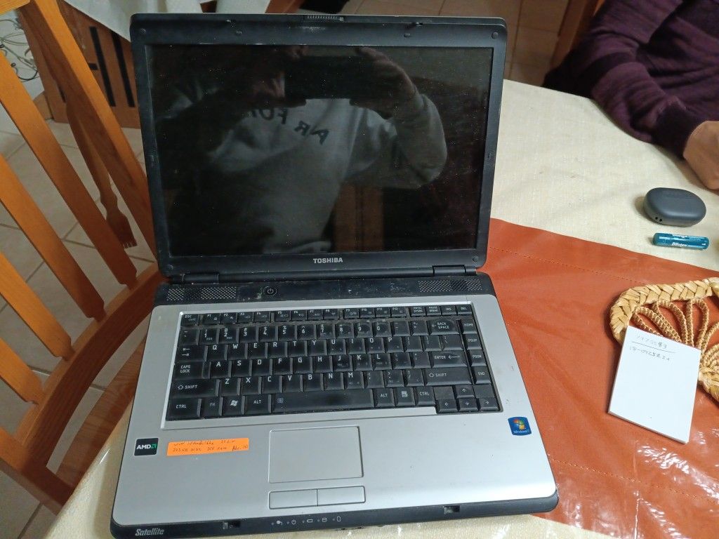 Toshiba L305D laptop