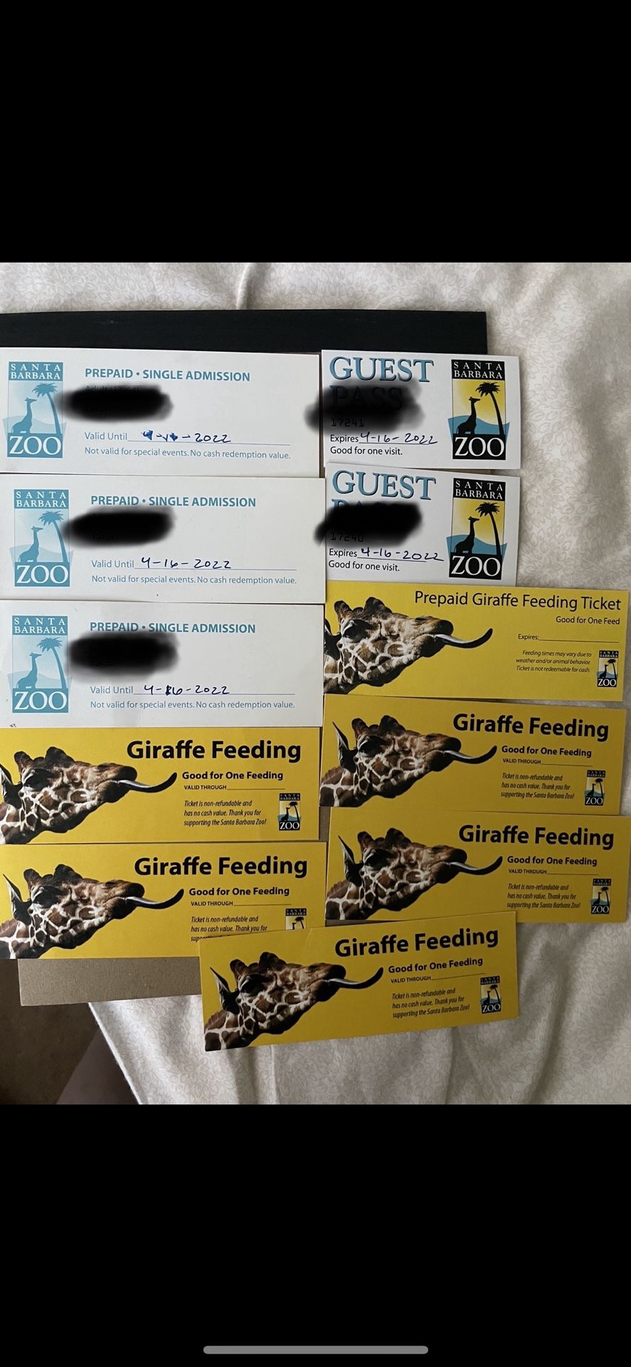 Santa Barbara Zoo Tickets 5 Anyday Admission And 5 Feeding giraffe tickets
