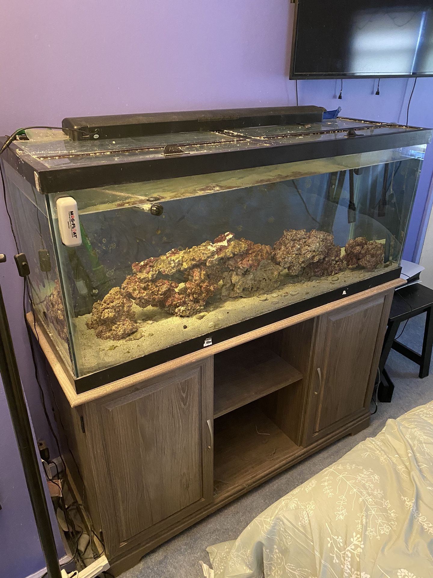 75 Gallon Fish Tank