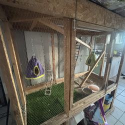 Bird Cage