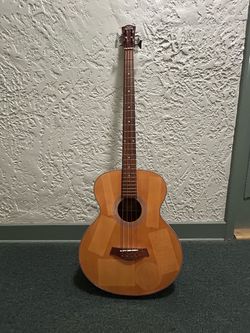 Bass: Acoustic/electric
