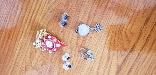Earrings, locket and Christmas pin